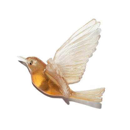 Stitchbird / Hihi