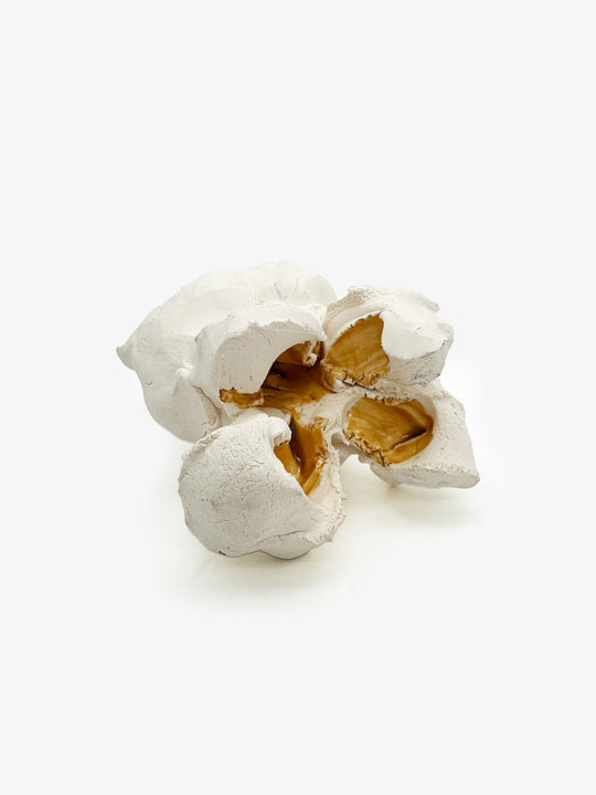 Single White Popcorn