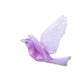 Stitchbird / Hihi