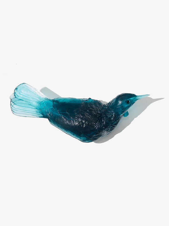 Tūī
