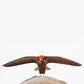 Tarapuka (Seagull)