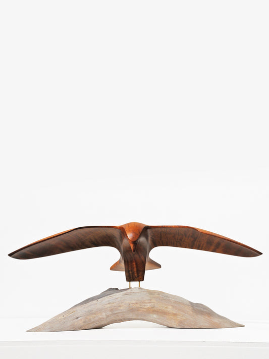 Tarapuka (Seagull)