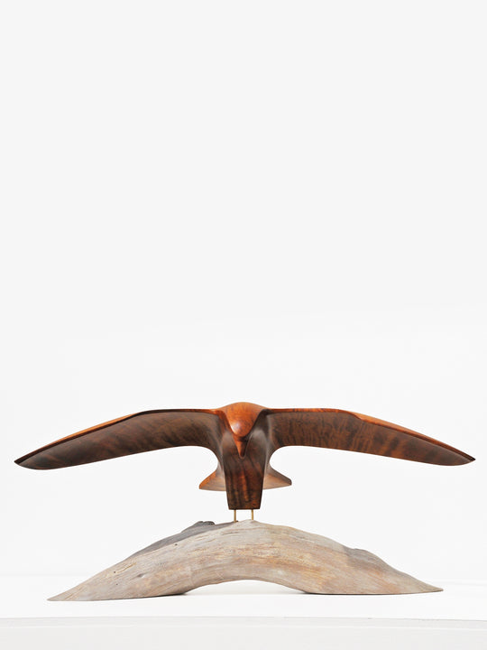 Tarapuka (Seagull)