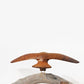 Tarapuka (Seagull)