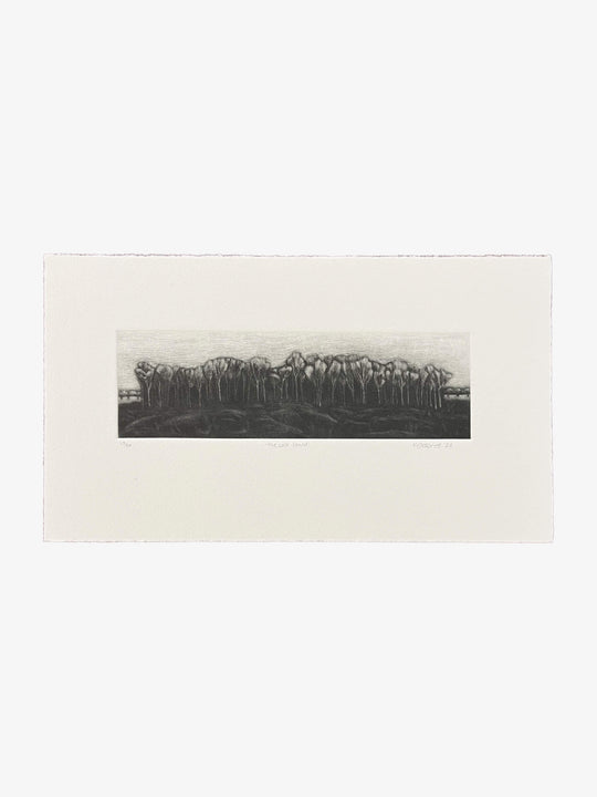 The Last Stand Ed. 13/20, 2022