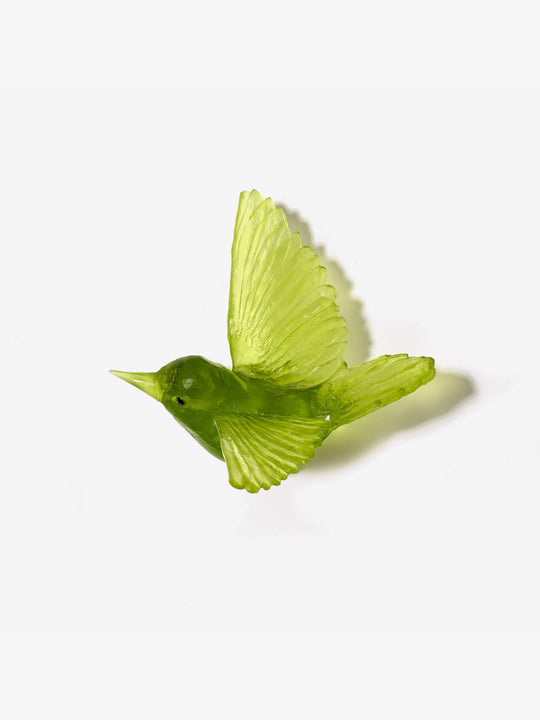 Tomtit / Kōmiromiro