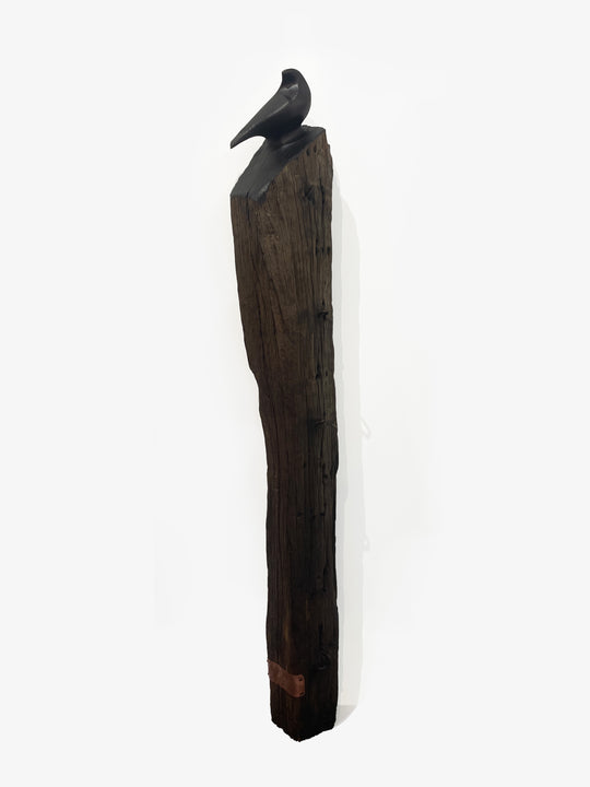 Tūī
