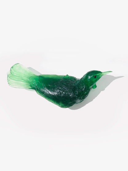 Tūī