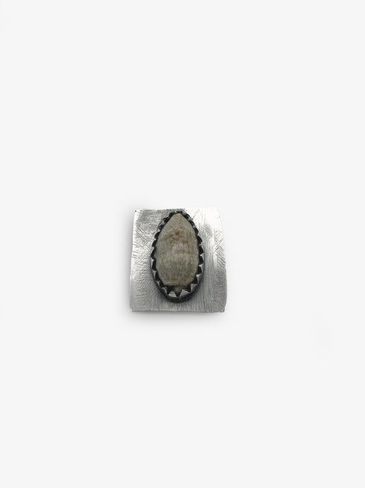 A Shell Is A Shell Brooch