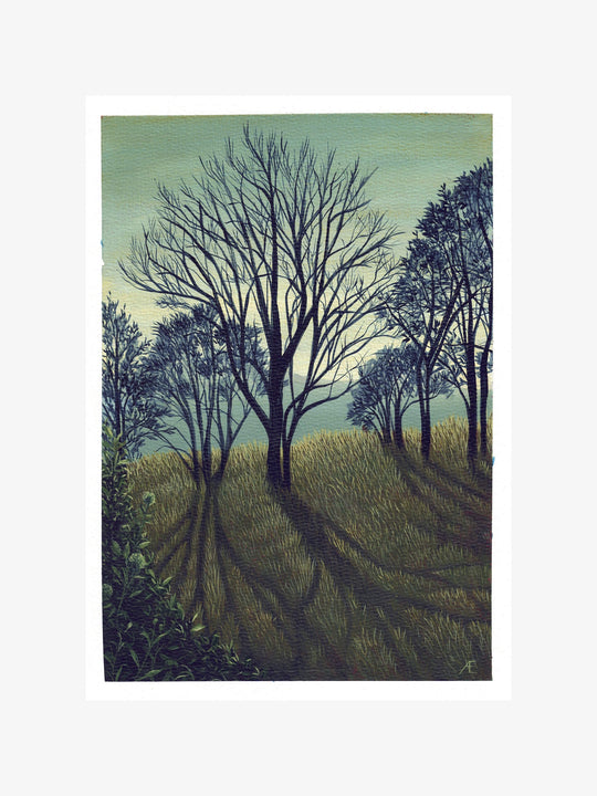 Vaianu Skies by Anna Evans