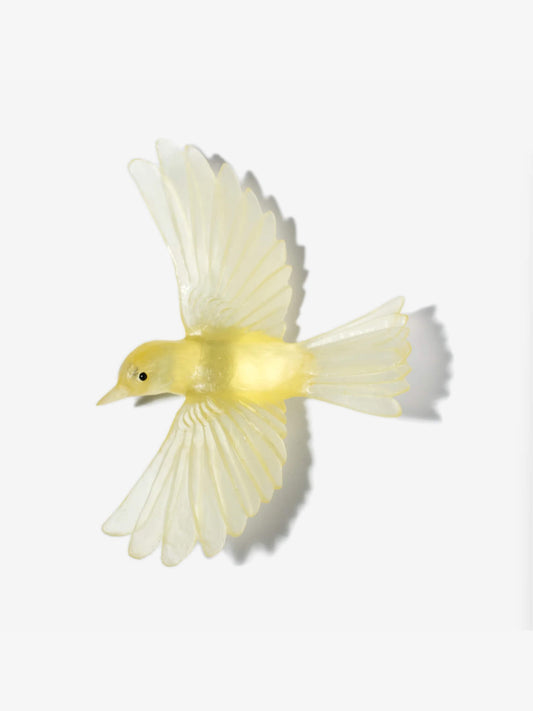 Yellowhead / Mōhua