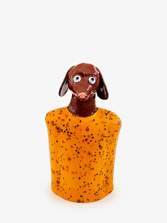 Dog in an Orange Jumper