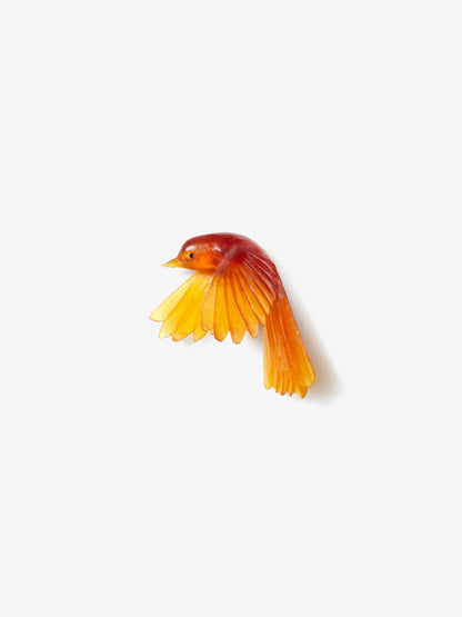 Fantail / Pīwakawaka – Wings Down
