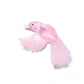 Fantail / Pīwakawaka – Wings Down