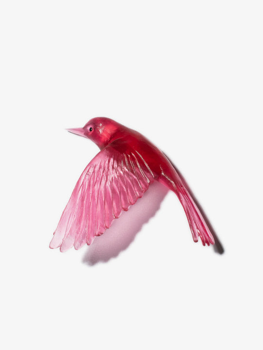 Whitehead / Pōpokotea