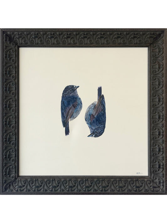 Kakaruwai, Kakaruwai