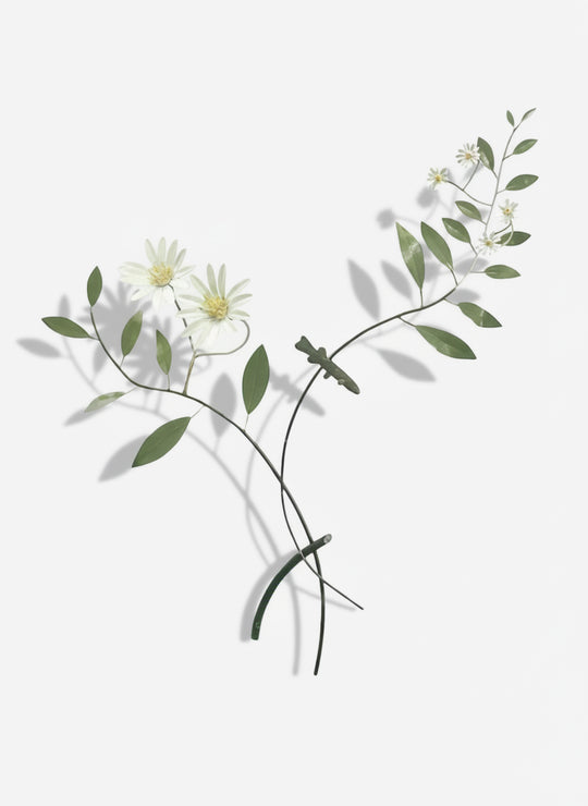 Taking a Closer Look - Streamside Daisy with Galaxiiae by Bing Dawe