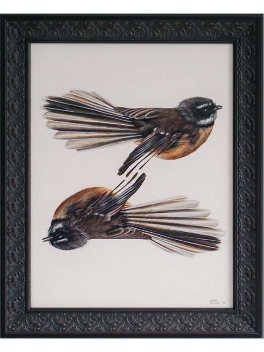 Pīwakawaka, Pīwakawaka