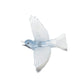Silvereye / Tauhou