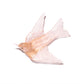 Swallow / Warou