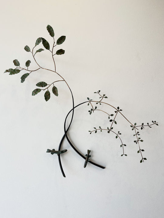 Arbor Diverse. From the Families Galaxiidae and Oleria.