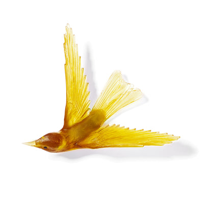 Bellbird / Korimako