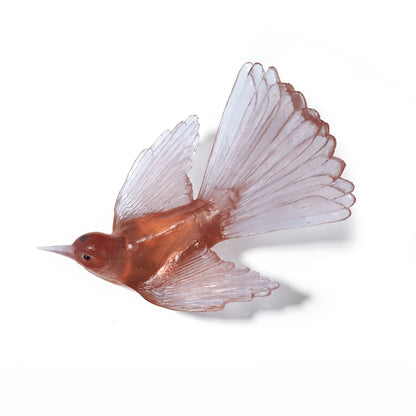 Fantail / Pīwakawaka