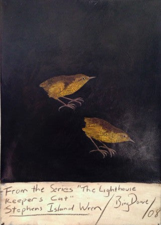 From the Series, The Lighthouse Keeper's Cat - Stephens Island Wren