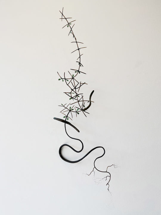 Wrench - Clearing Matagouri, Lake Hawea Eels, Matagouri.