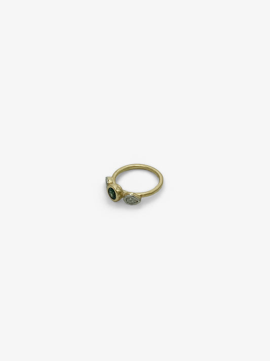 The Whisperer Ring