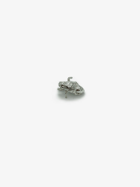 Cicada Shell Pin