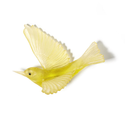 Silvereye / Tauhou