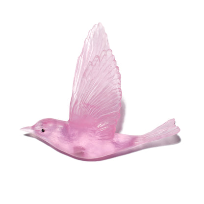 Shining Cuckoo / Pipiwharauroa