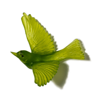 Silvereye / Tauhou