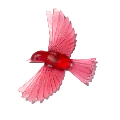 Yellowhead / Mōhua